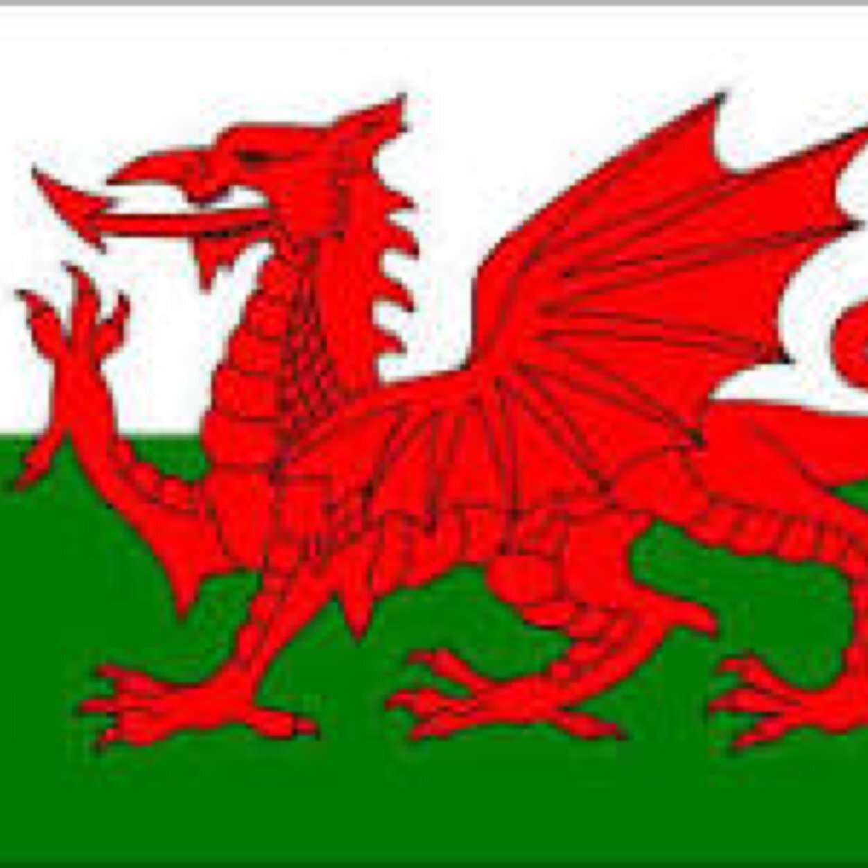 BTSouth2North's profile picture. https://t.co/BAABzSmKm9