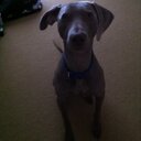 Andy Wolfe - @wolfyman999 - Twitter