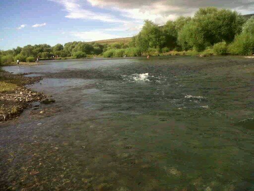 sandraines81's profile picture. 