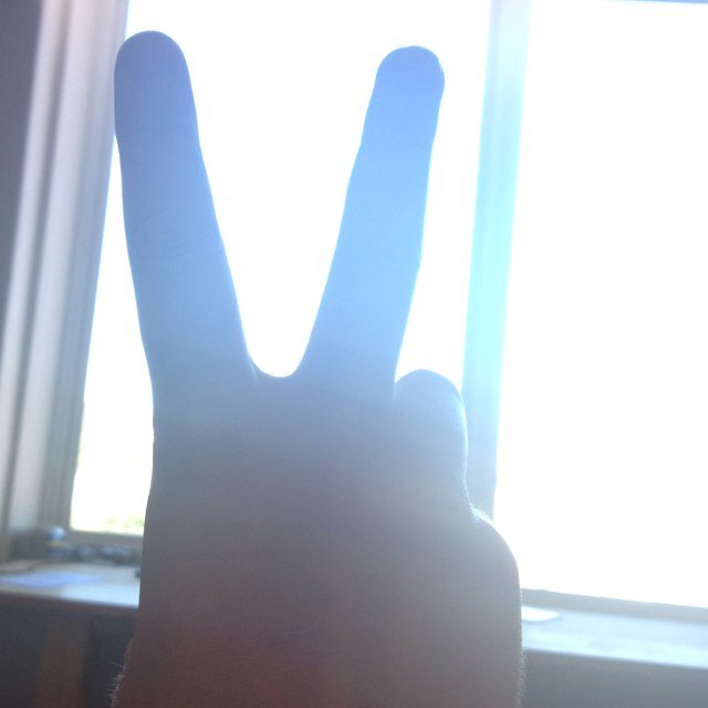 arionion's profile picture. 