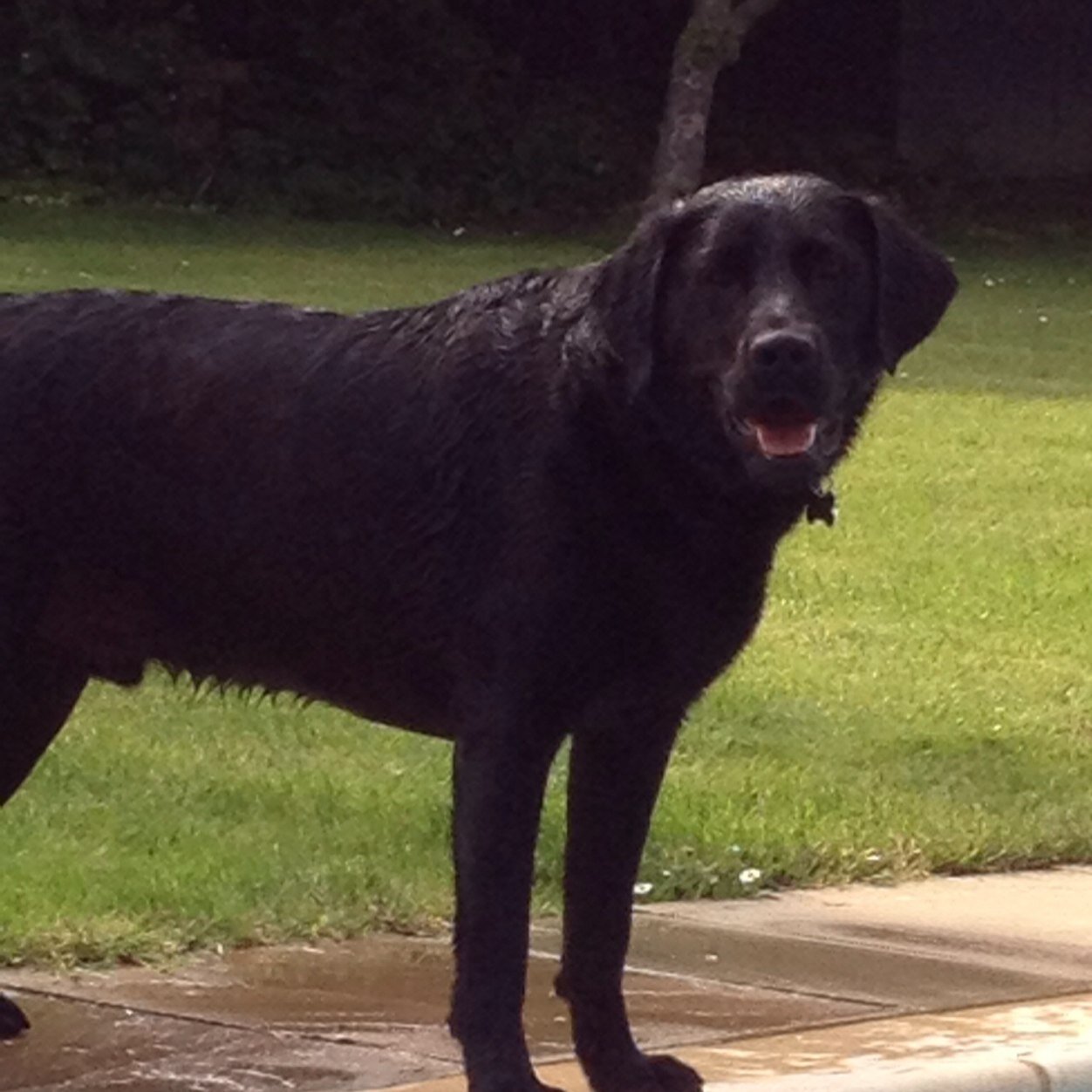 JennyHaydon's profile picture. 