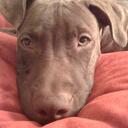 Amanda Lott - @faythe40 - Twitter