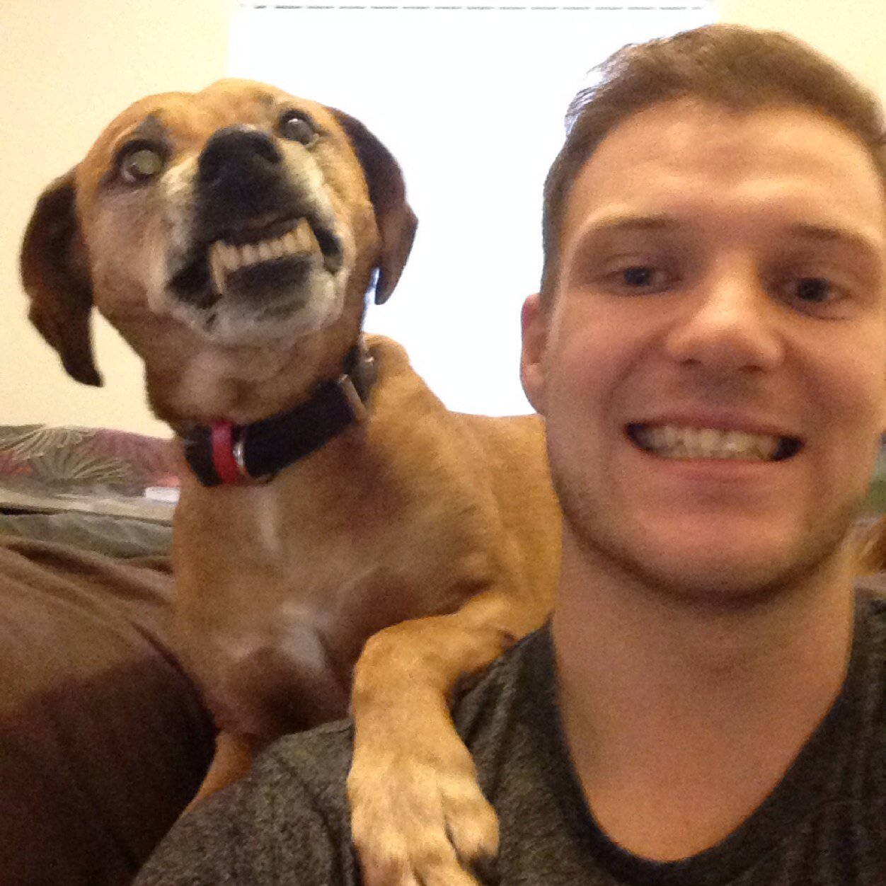 DeanNorman22's profile picture. Clever, hansome, charming, strong and very modest!