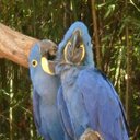 Victoria Browning - @Victoria22589 - Twitter