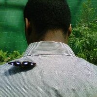 Tommie Foster (@taftwin) 's Twitter Profile