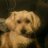 JohnnyB60142's profile image
