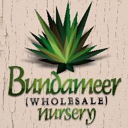 Bundameer Nursery is your one stop wholesale garden shop. If it’s gorgeous and green, we’ve got it at a great price.