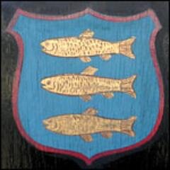 newportcarnival's profile picture. 