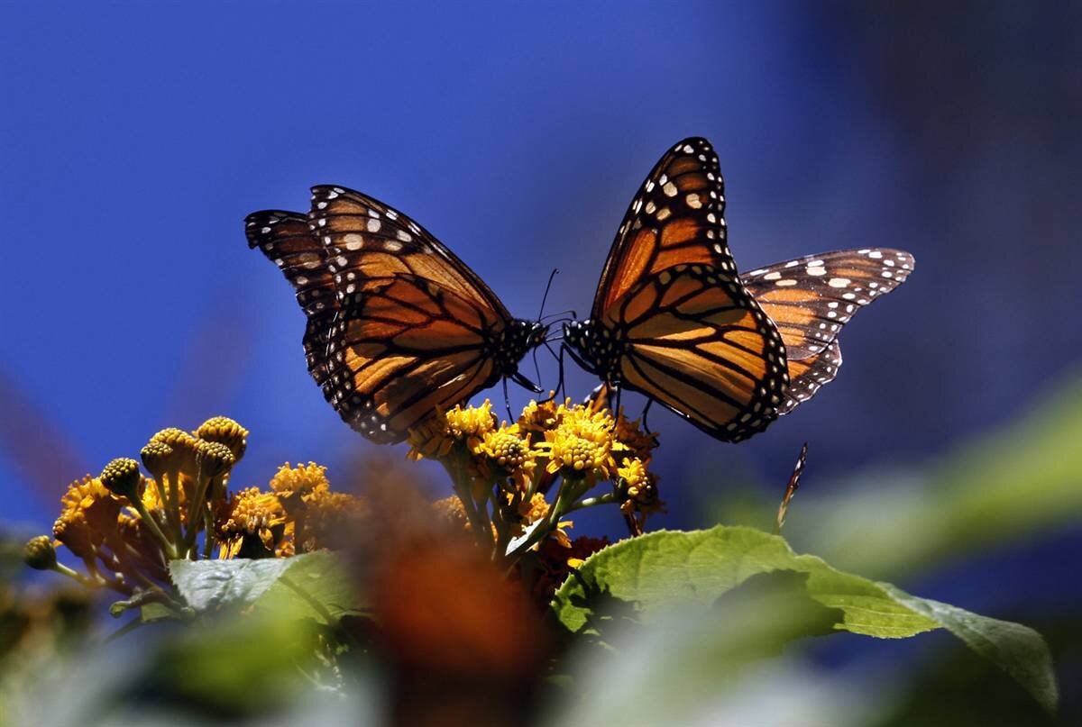 mailanita3's profile picture. #WeAreThePeople! ' Do NOT give up! OUR TIME is NOT the right time!  Stay strong and true and be READY......