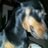Alejandraalo23's profile image