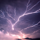 Pete Schroeder - @pdstreeguy - Twitter