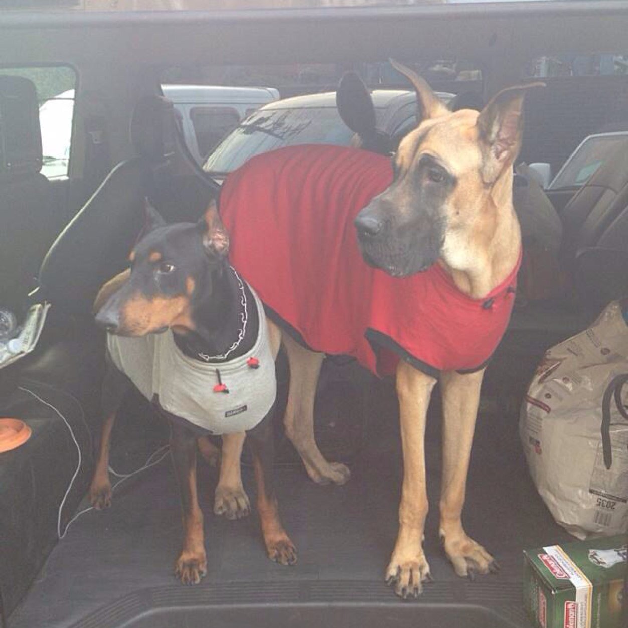 aiko1107king's profile picture. 