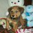 anlu2578's profile image