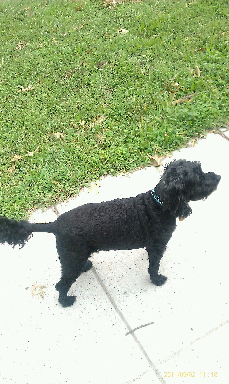 Tara_LaCher92's profile picture. Don't get confused between my personality & my attitude. My personality is WHO I AM, my attitude depends on WHO YOU ARE!