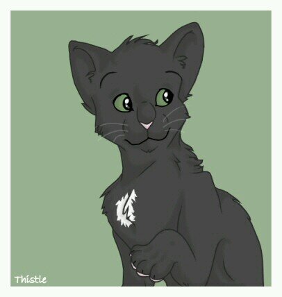Im Ravenpaw, Im afriad of alot if things. Clan: None but looking, Mate:None, Theme: Fireflys