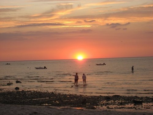 A Cape Cod Native who knows the best things to do on the cape.