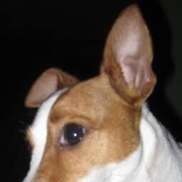 kylekrieg's profile picture. Verified Account...Check!