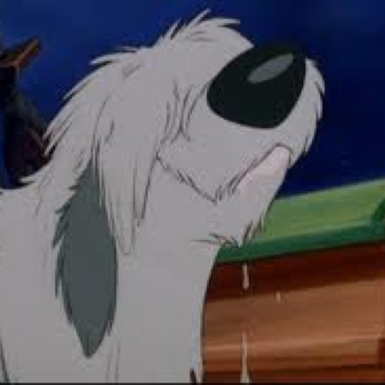 I am  an Old English Sheepdog and Prince Eric's pet. I am a very loyal and obedient pet.