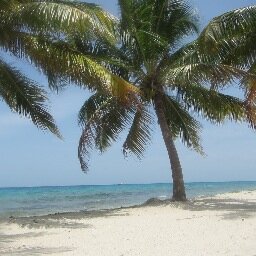 kclyon's profile picture. 