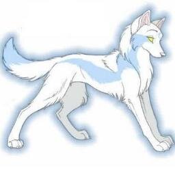 I'm a wolf who protects the warrior cats from harm of those dogs who wish to run them out of their forest. She-wolf, blind but can see just as good as you.