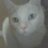 TNT_Cozmo's profile image