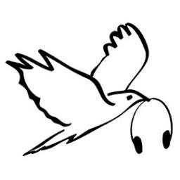 Imagine music without rules or commercial constraints, music that can transcend traditional formats. Music that’s free to evolve. Free the music.