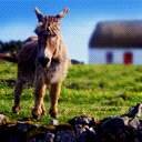 kid507less's profile picture. Уча других, мы учимся сами.