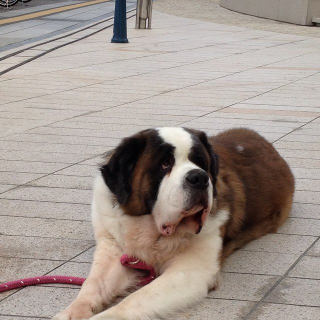 popcornobske's profile picture. 所得制限というシステムに理不尽さを感じたのが政治へ興味を持ったきっかけ。
無償化は無償ではない。バラマキ反対、 減税支持（消費税は除く）、小さな政府を希望。そして何よりも社会保障制度の抜本的改革を強く求めます！