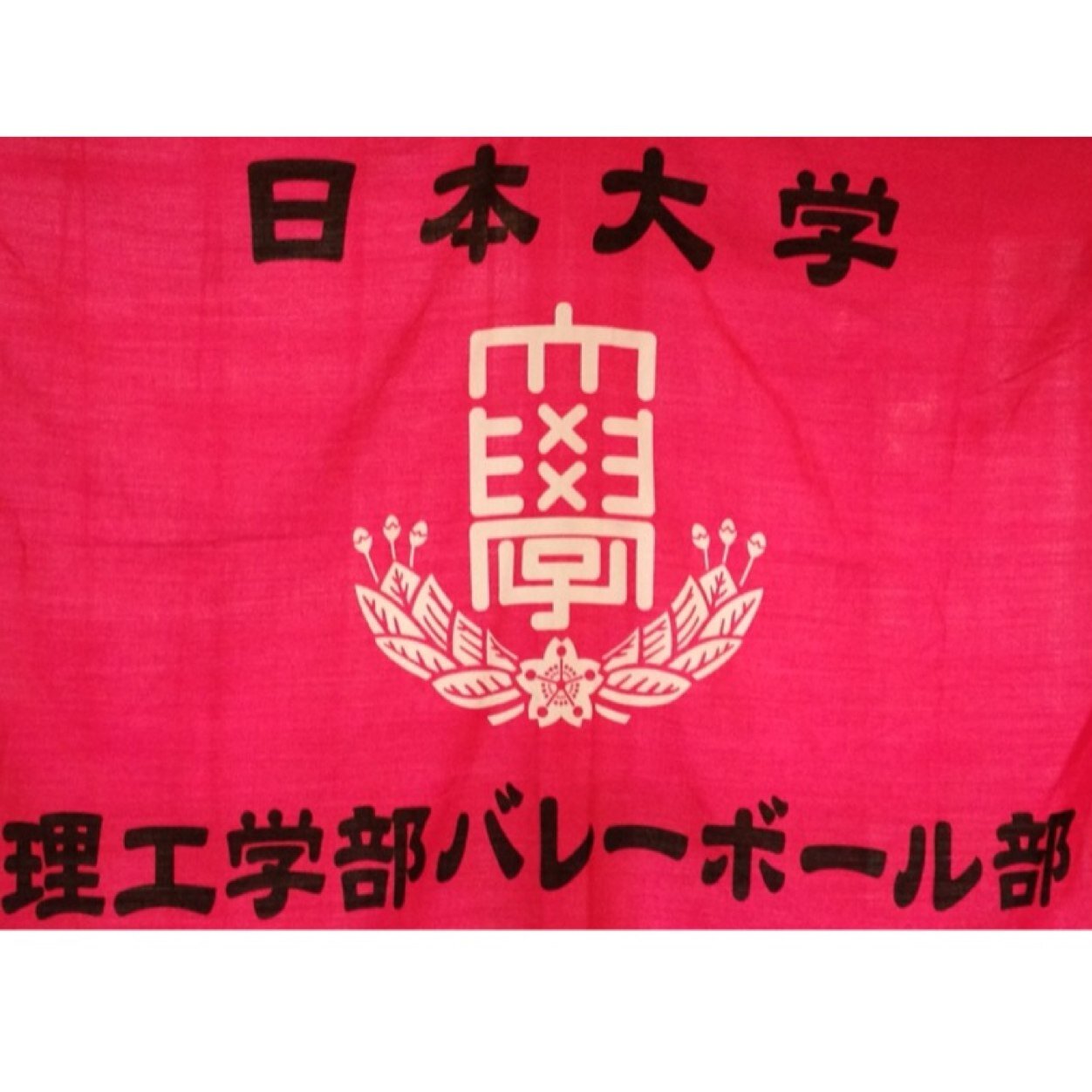 日本大学理工・短大バレーボール部🏐練習は 水・金・土・場所 : 船橋キャンパス スポーツホール・関東理工系バレーボールリーグ1部所属・初心者から経験者まで大歓迎✨🤗　 気になったり入ってみたい人は是非dmまでお願いします✉️
