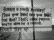 candi_fair's profile picture. 