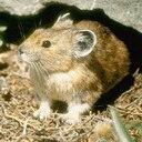 tili1000gar's profile picture. Успех приходит лишь к тем, кто не оставляет попыток добиться своего