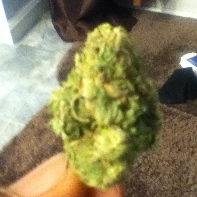 im bout dat life yu not!!! # realtrapp
