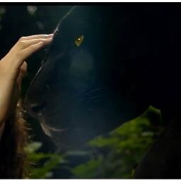 Temazcal_luna's profile picture. Temazcal, camping, masaje relajante, hospedaje, turismo rural.