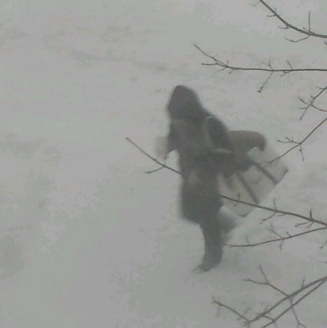 We're having snow much fun....