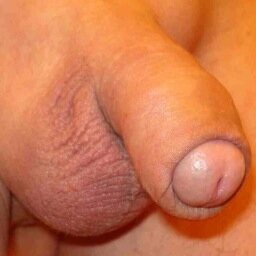 Foxy_Grandpa60's profile picture. I'm a fag and I have SWAG (and the clap)