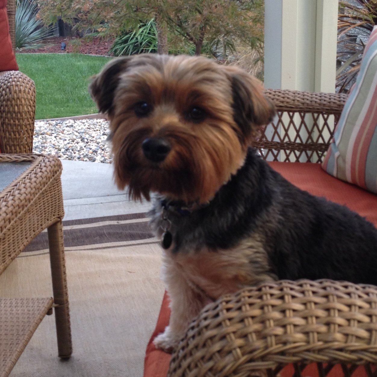 CalvinKniffin's profile picture. 