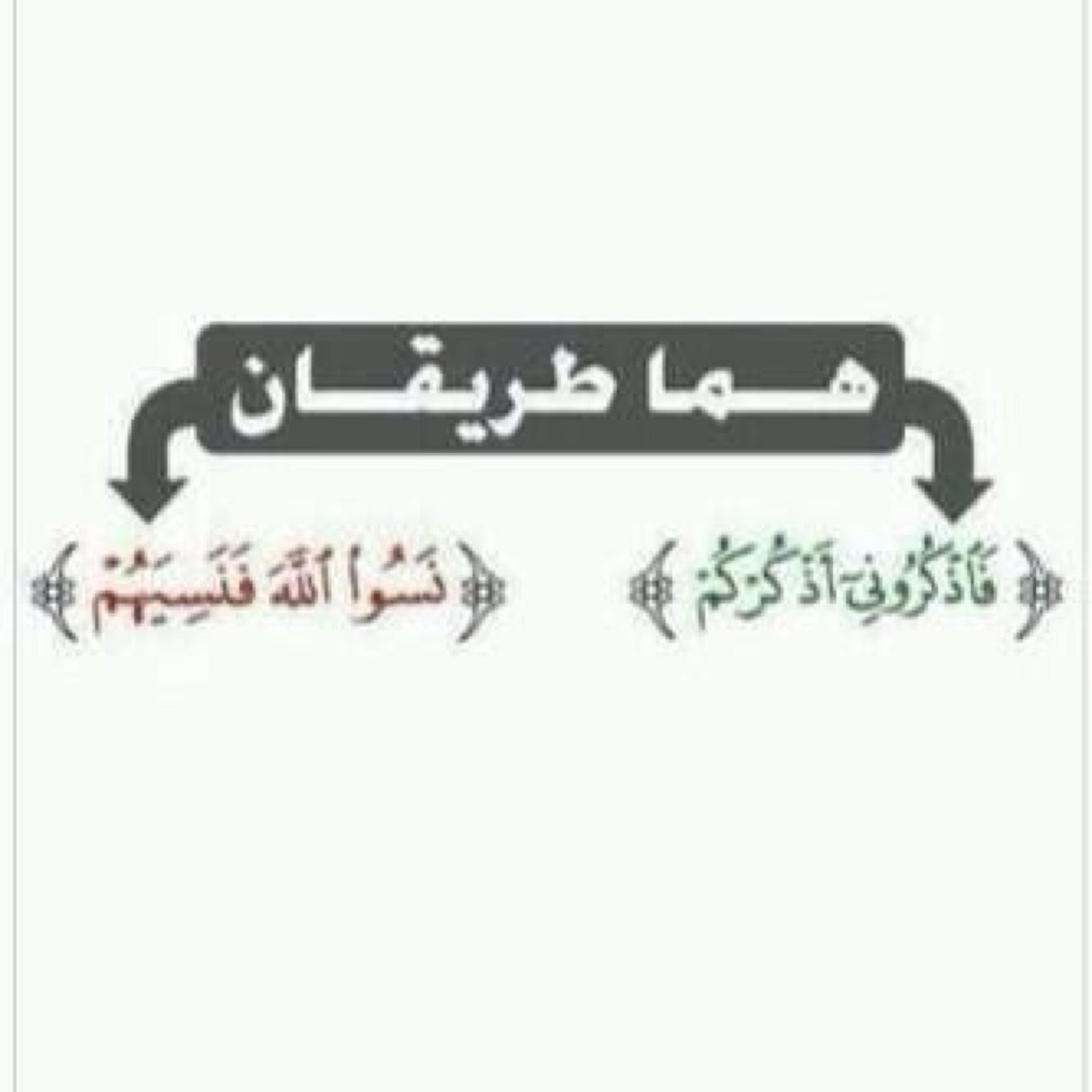 لعل هذا الحساب يكون شفيع لوالدي يوم القيامه ❤