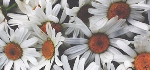 FreeFollow3153's profile picture. Congrats on the free follow! Please follow back on @HollyAndDakota !!! Much love 3