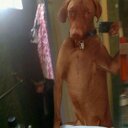 Alexander Styles - @AlexanderStyle5 - Twitter