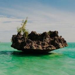 ZerosumXx's profile picture. 