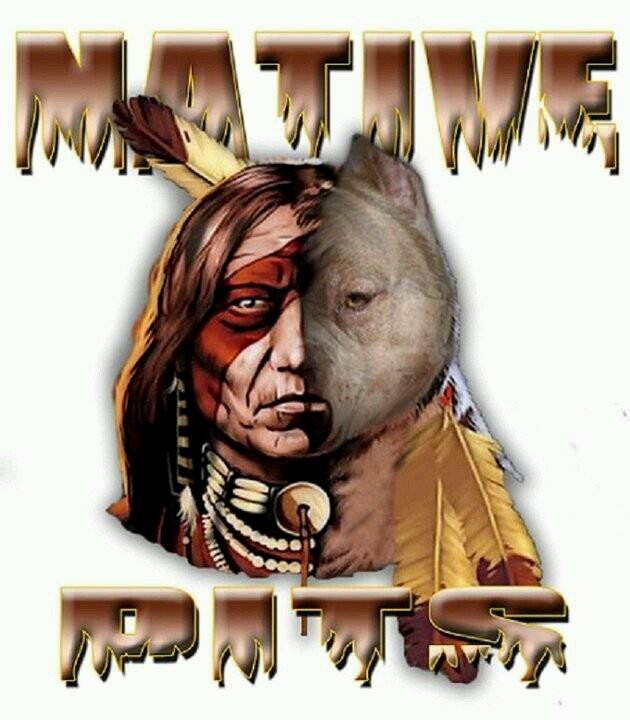 nativepits's profile picture. family man, father, brother, son and animal lover