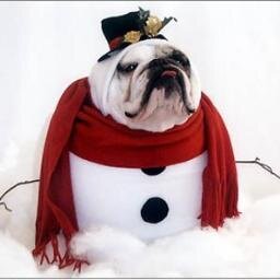 BU2HourDelay's profile picture. Because 2 hours makes everything better.