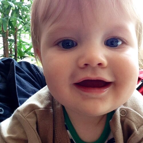 I'm 10 months old and discovering how good stuff is for the first time.