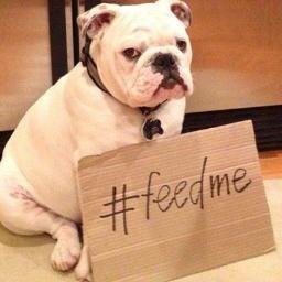 Bulldogdigest's profile picture. Just a couple of hungry college students who are tired of the BARC. Dining, tasting, and exploring Spokane restaurants. Follow our blog