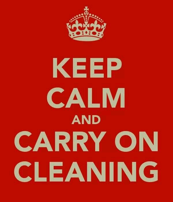 Wirral based domestic cleaner. DBS Checked. Excellent references. Reasonable prices.