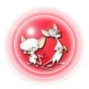 ac293lia's profile picture. Чтобы изменить мир мы должны сначала изменить себя