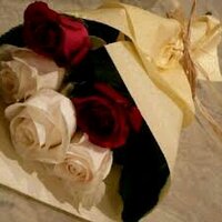 meloo. (@1179areda) 's Twitter Profile