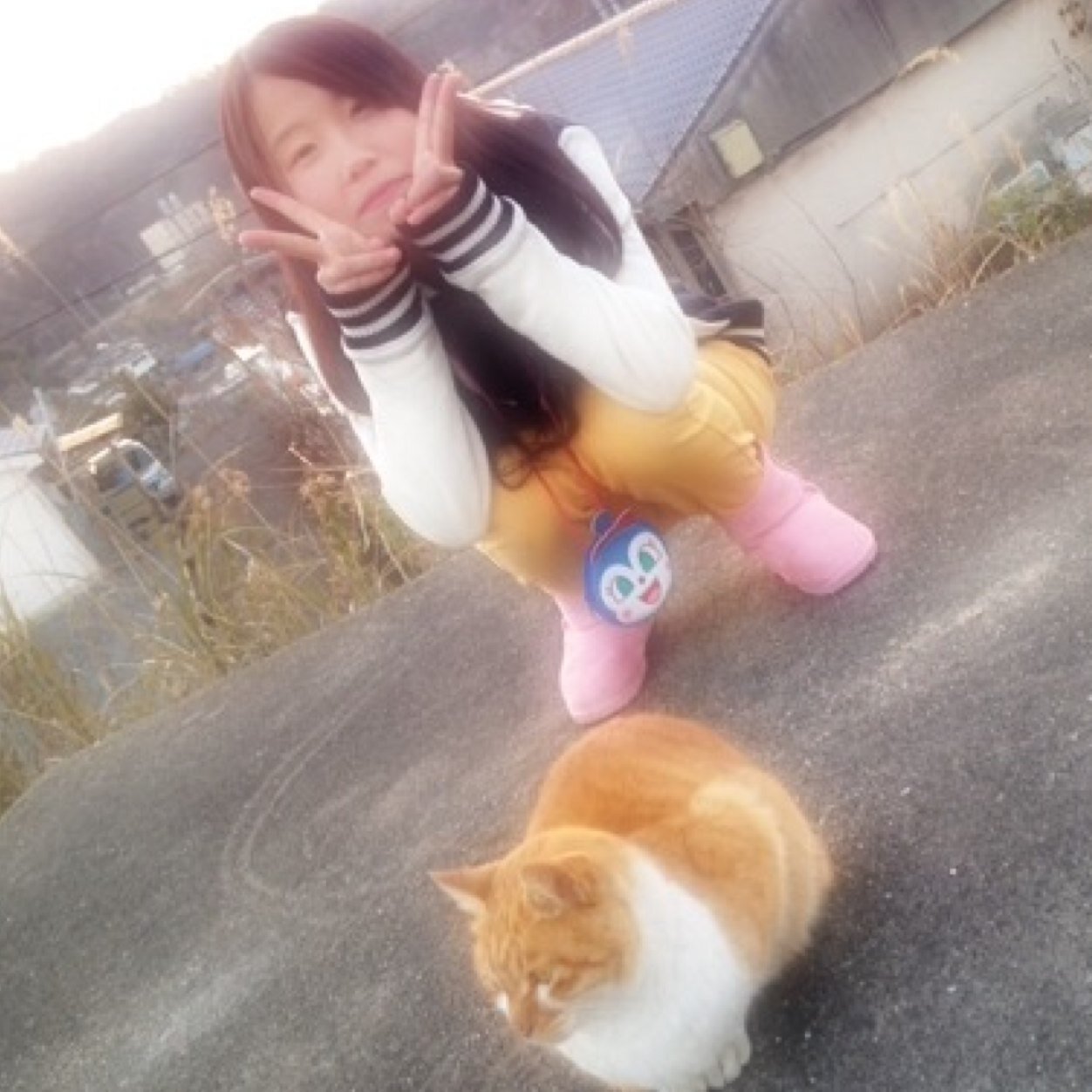 as_ww's profile picture. 寺口宣明 Ivy to Fraudulent Game 好きです