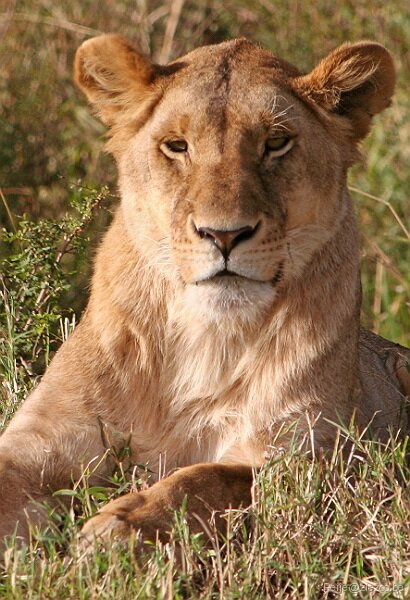 PetervanWillebr's profile picture. Dit is een cursus oefenaccount.