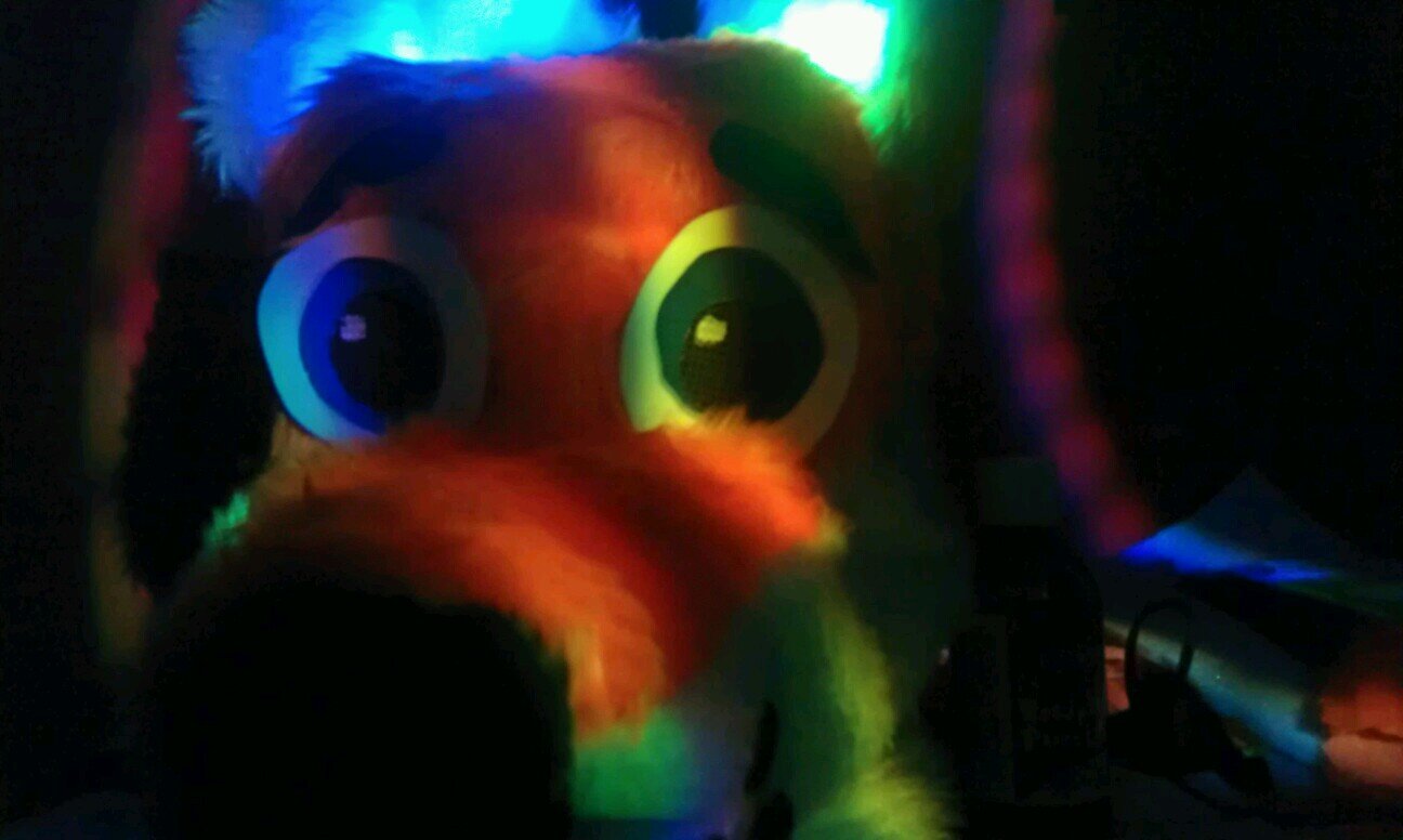 I am a furry and a Mascot Entertainer. My character is Blaze Fox